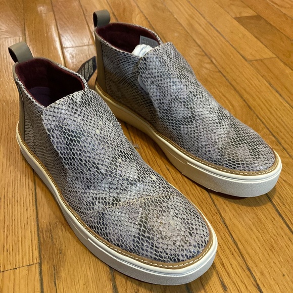 Brand New Toms - Picture 1 of 4